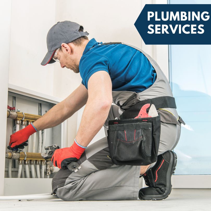 Caledonia Plumbing Company